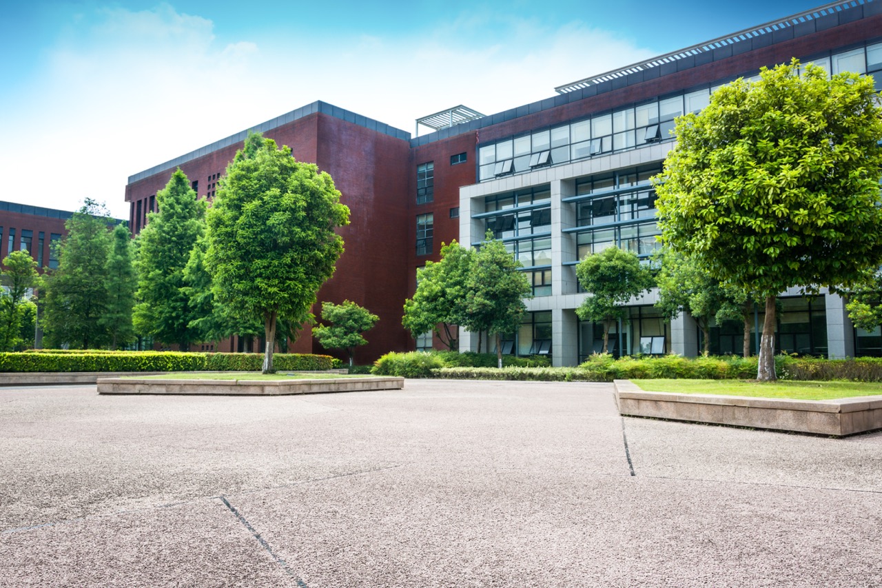 Luxurious new building with curb appeal